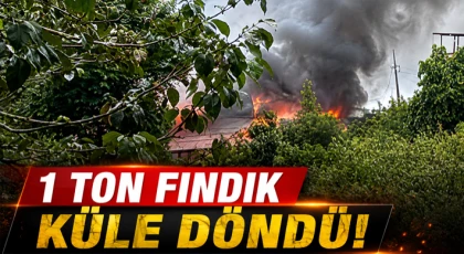 1 Ton Fındık Küle Döndü