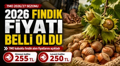 2026 Fındık Fiyatı Belli Oldu