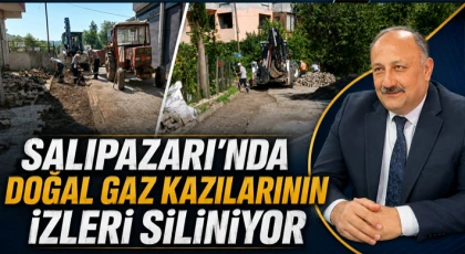 Doğal Gaz Kazılarının İzleri Siliniyor