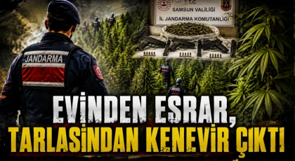 Evinden Esrar, Tarlasından Kenevir Çıktı