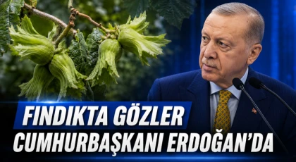 Fındıkta Gözler Cumhurbaşkanı Erdoğan’da