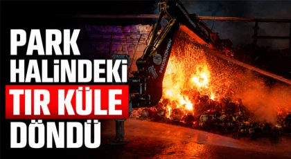 Park Halindeki Tır Küle Döndü