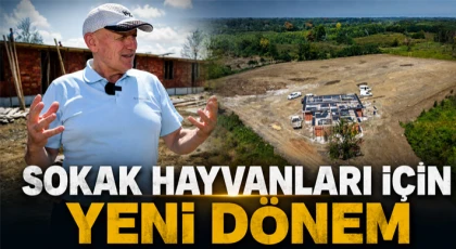 Sokak Hayvanları İçin Yeni Dönem