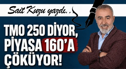 TMO 250 diyor, Piyasa 160’a Çöküyor!